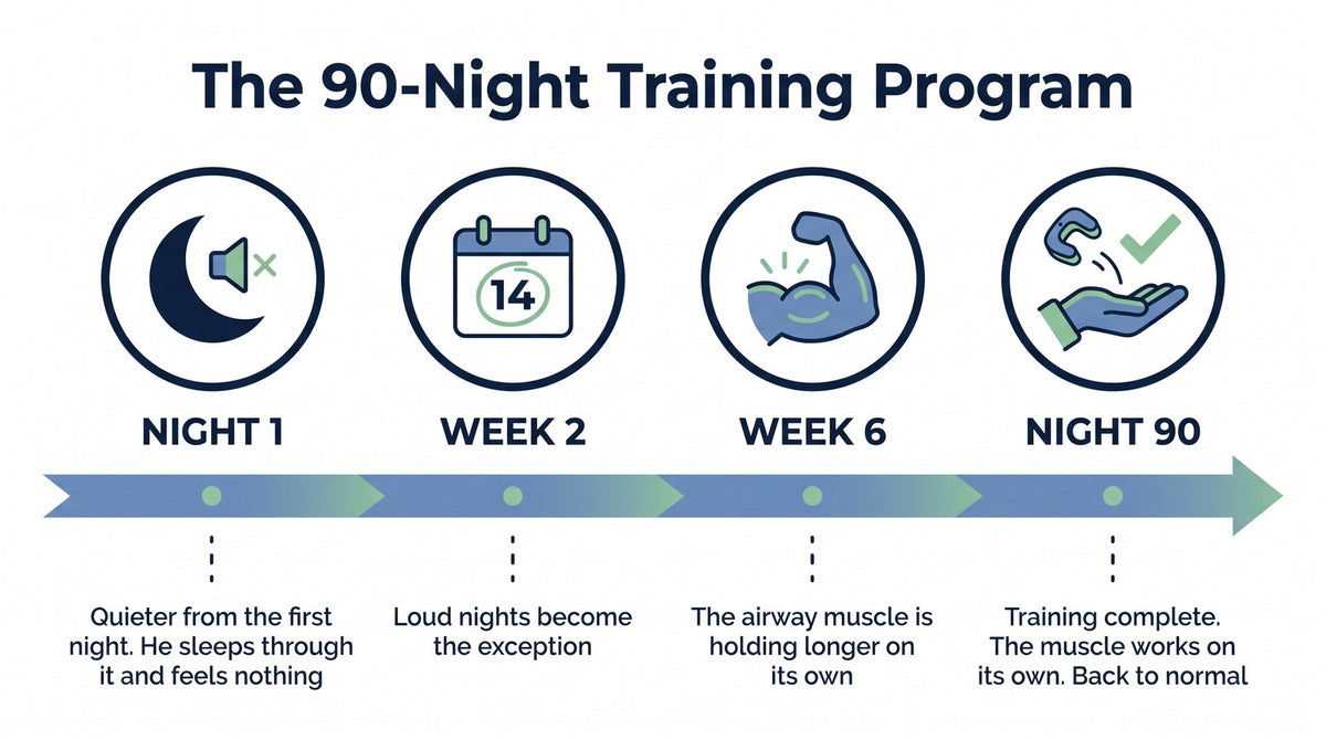 sleepr-adv4-timeline.jpg